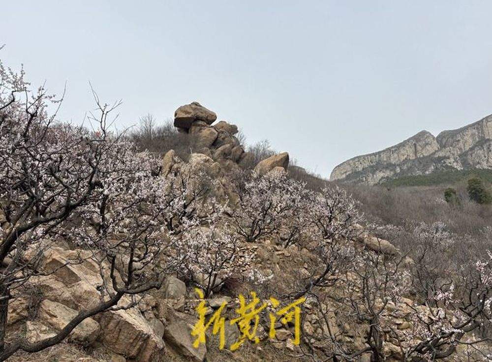 门店客流相比去年增长一倍 春风吹“热”运动装备消费