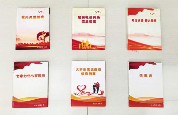 “七一勋章”获得者吴亚琴，中国基层之治的答卷人
