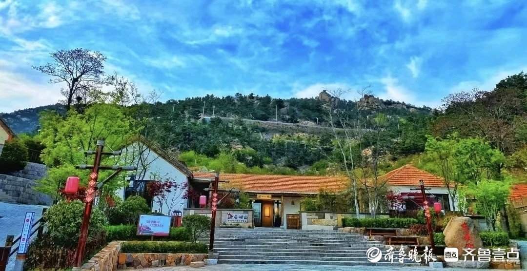 山东破题片区化:乡村“手拉手” 共富路“步步宽”