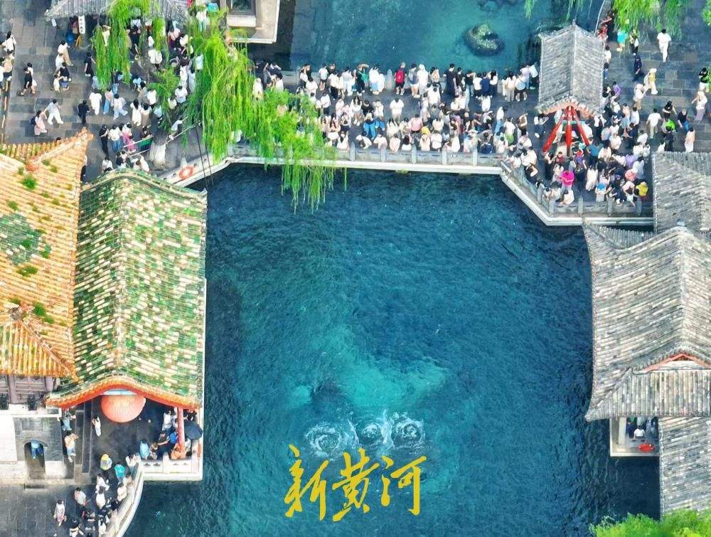 暑期收官遇盛景，趵突腾空醉游人