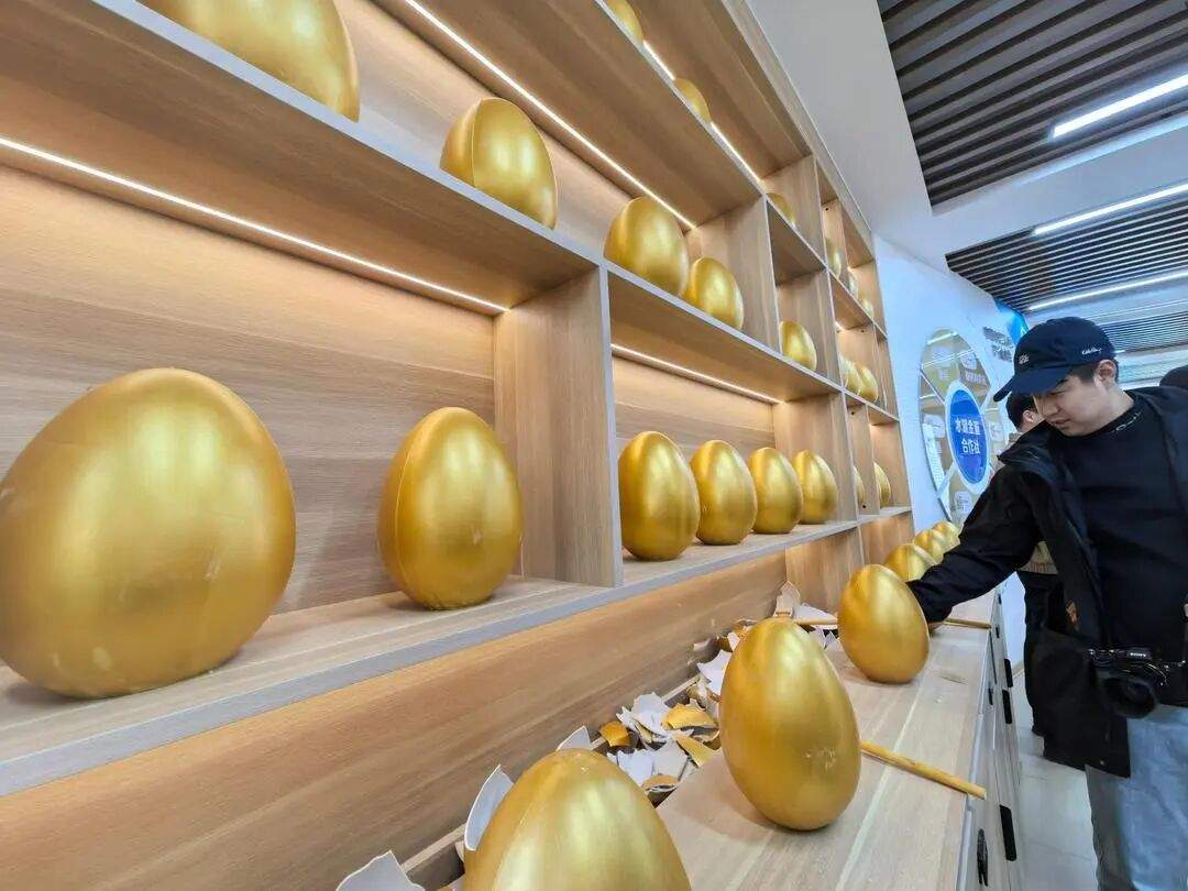 省情研究所|片区化推进乡村振兴的山东实践:从“连片”向“深融”