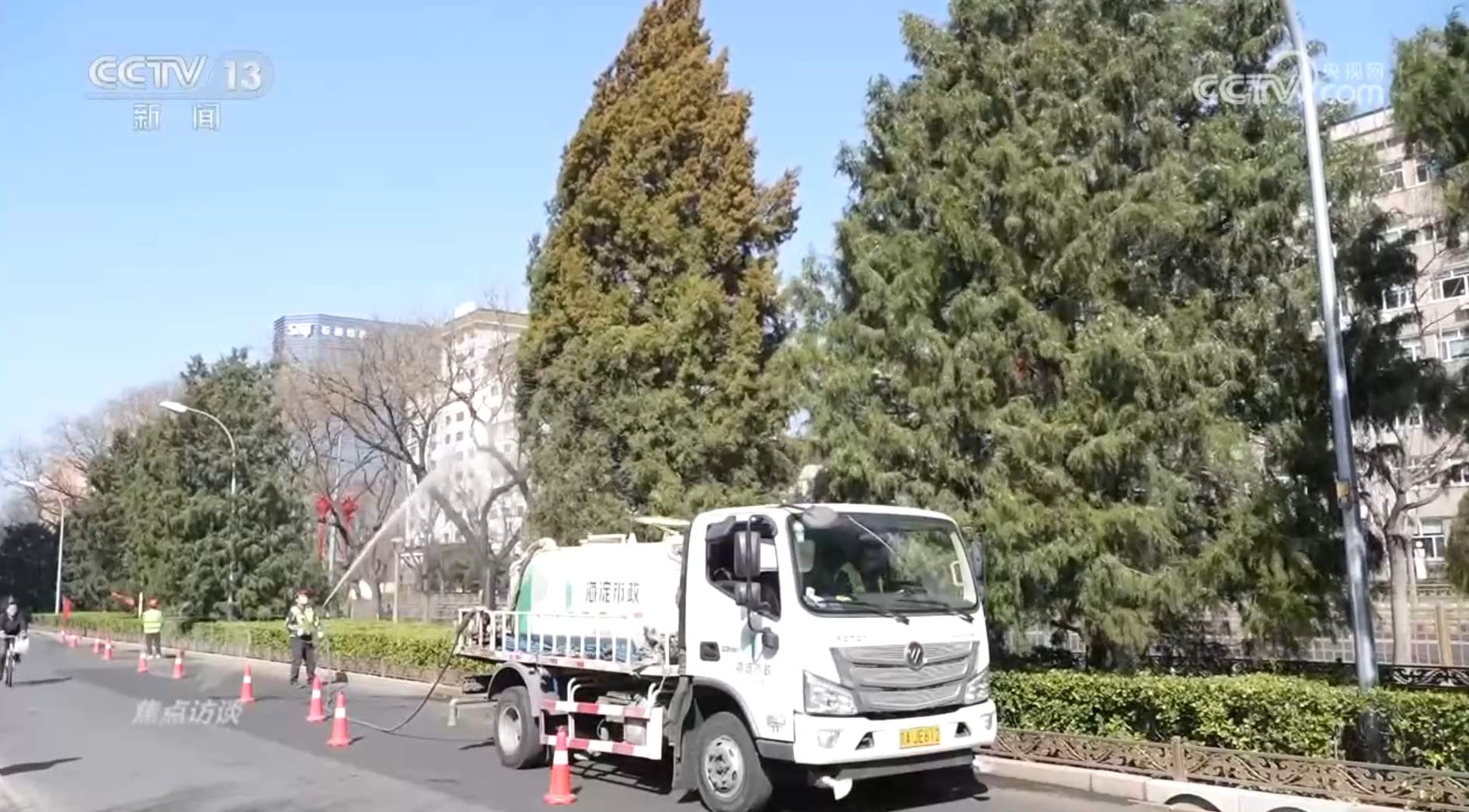 焦点访谈|花粉过敏成“隐形烦恼”,如何应对?一文了解