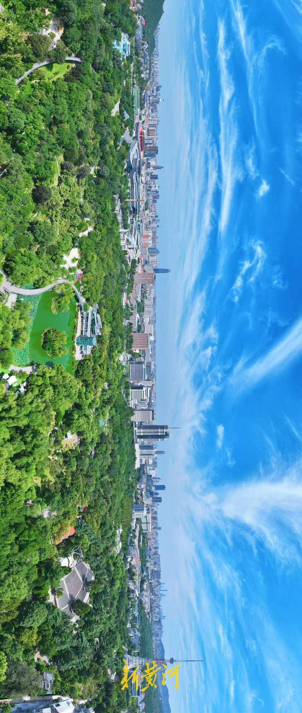 一年四季 泉在济南｜初秋泉城晴空万里，绿树成荫太美了