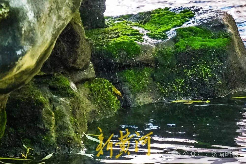 天气要变，山东局部迎大雨 济南重要预报：明天降水集中
