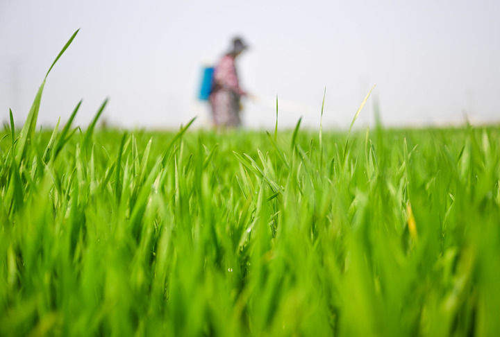 看“十五五”首季中国经济发展图景