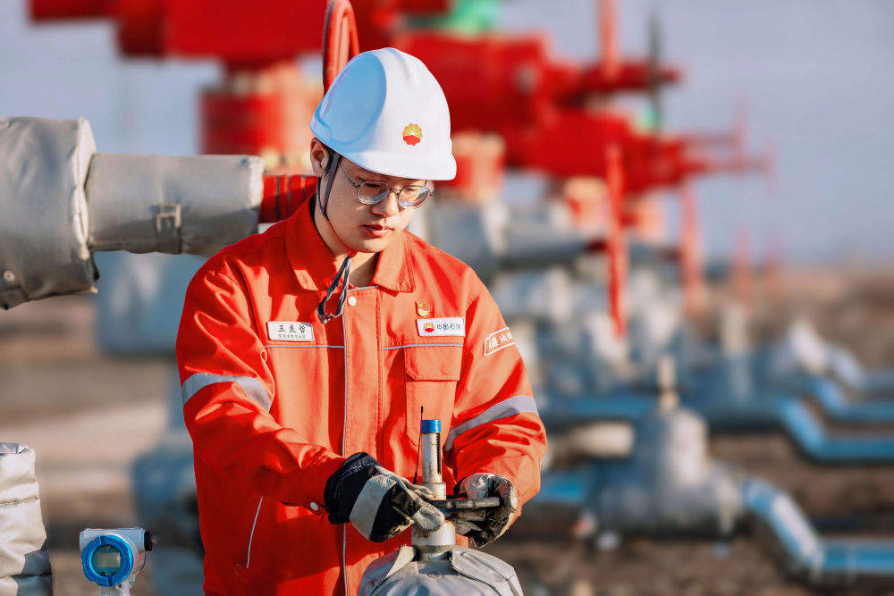 群英聚天山 携手筑梦想——新时代青年扎根新疆建功立业观察