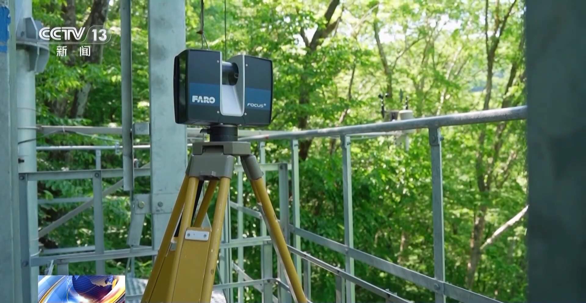 每片叶子都能查！三座巨塔就能监测整片森林