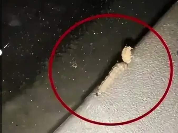 车上莫名其妙出现小圆洞，不少人已“中招”，专家提醒