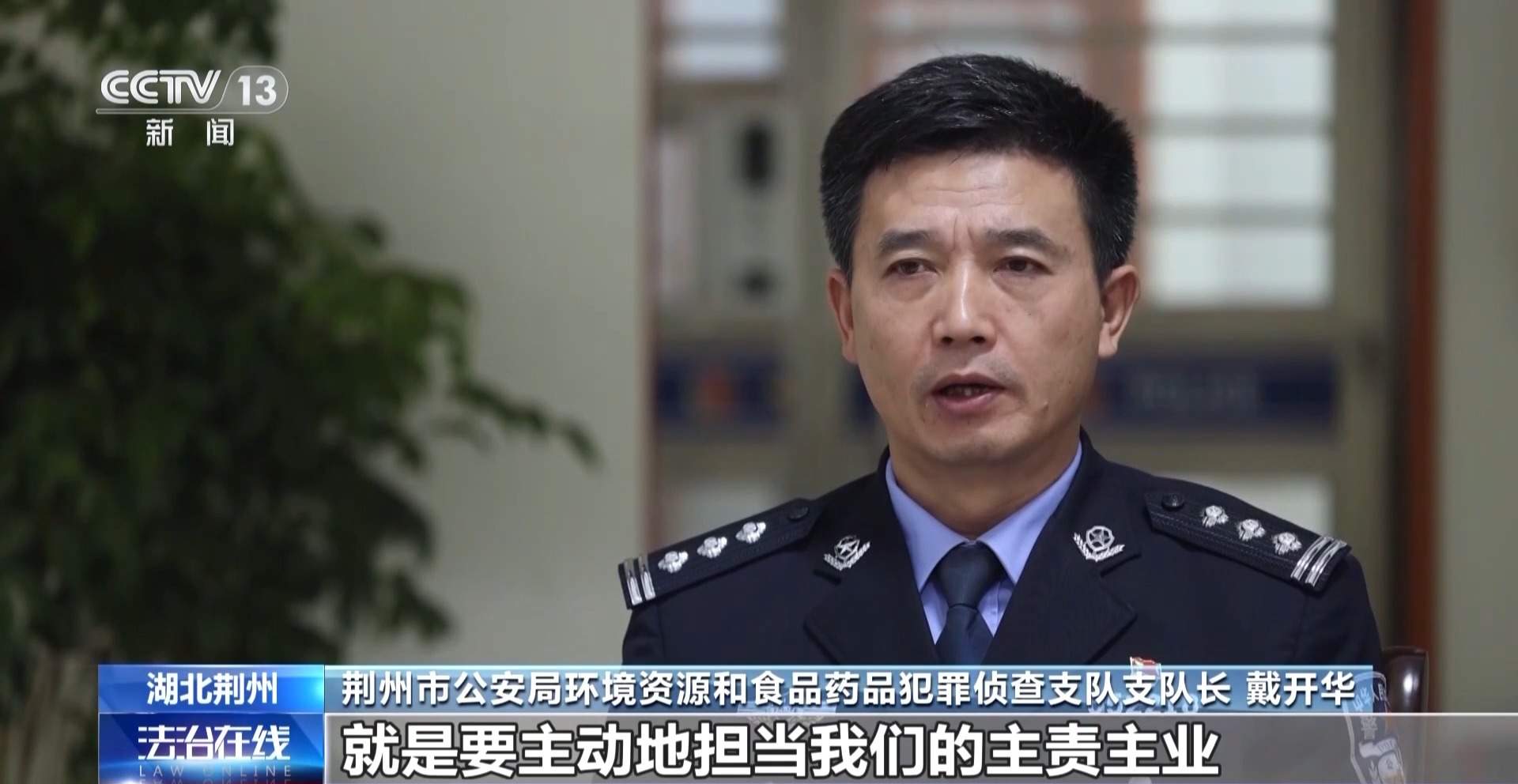 涉案1600余万元 湖北警方打掉54人非法捕杀候鸟团伙