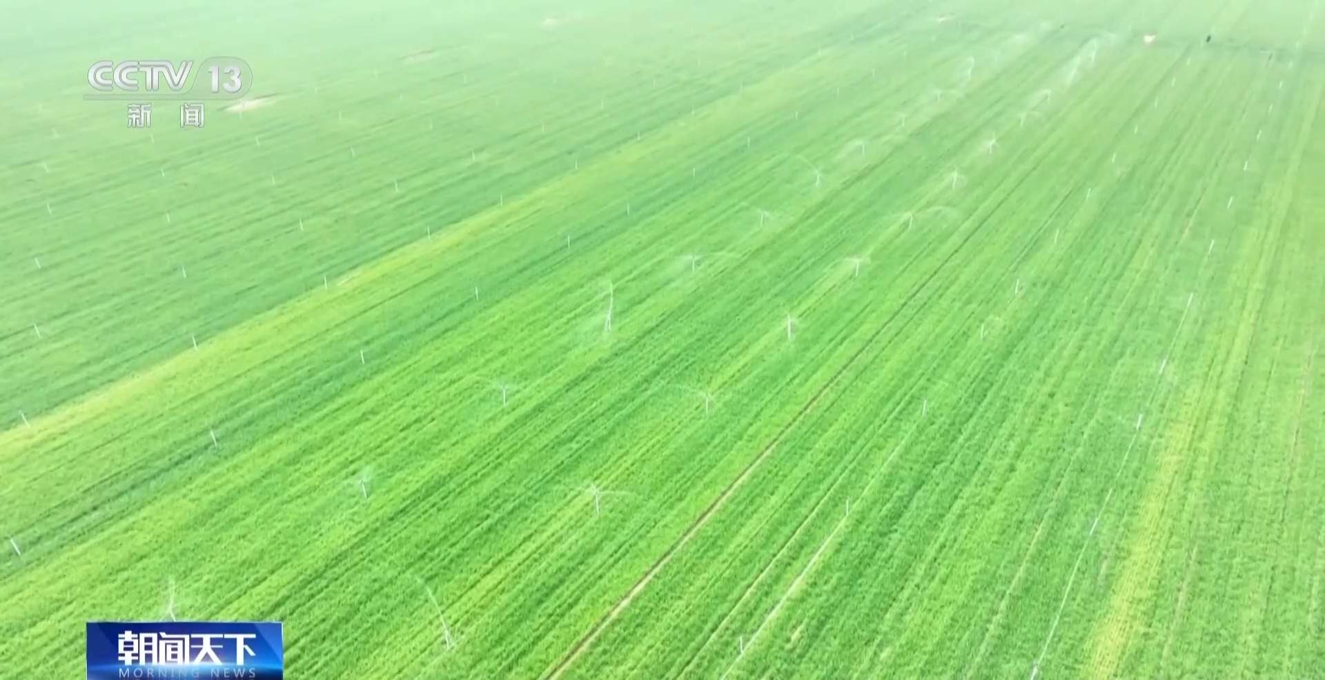 春灌用上黑科技 全国超亿亩农田高效“解渴”