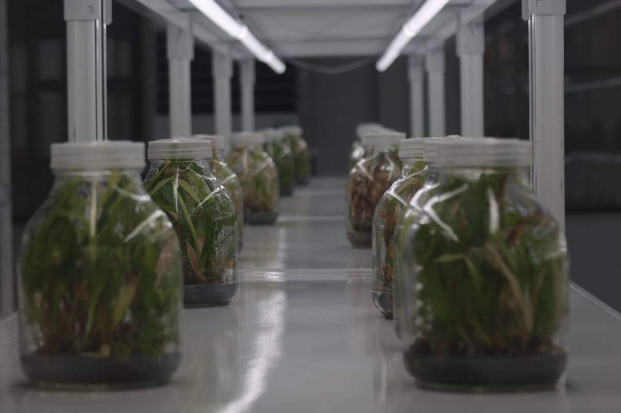 融媒·先锋｜联村共富记——一块田，一块甜