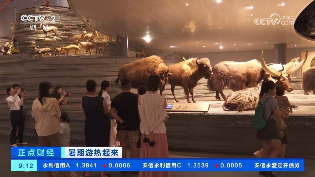 暑期“博物馆热”升温：多家博物馆开启“夜间模式” 扮靓夏日文旅生活