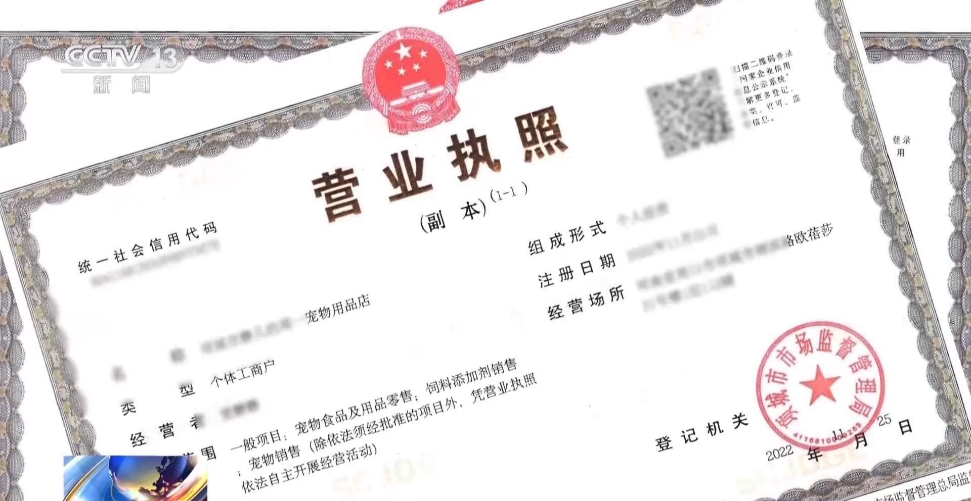 骗250万善款仅3000元用在狗身上 起底流浪动物网络救助骗局