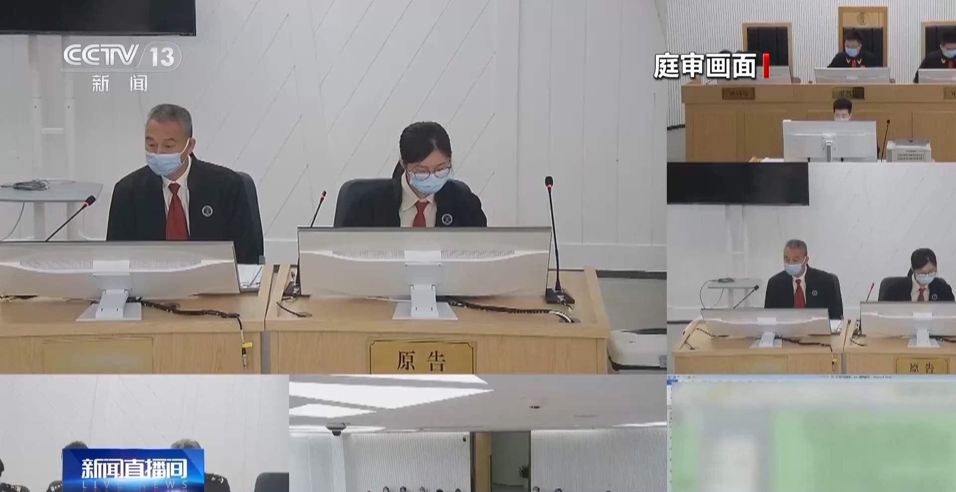 装饰品变成“洋垃圾”？进口近11吨贝壳被罚款50万元