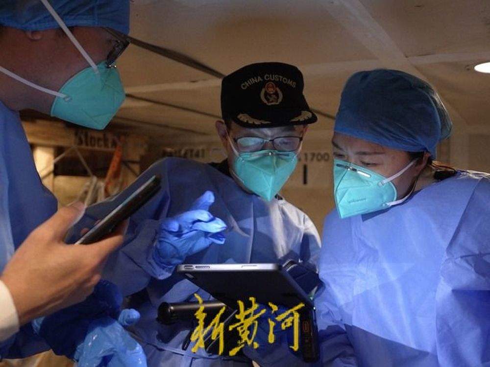 241头“牛哞哞”自澳大利亚“打飞的”抵济，系山东首批空运种牛进境