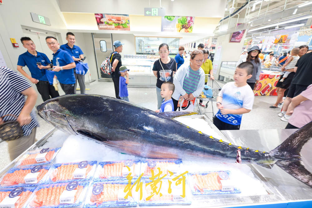 1小时开4条三文鱼、金枕榴莲销售破万，盒马济南城西首店开业消费力拉满