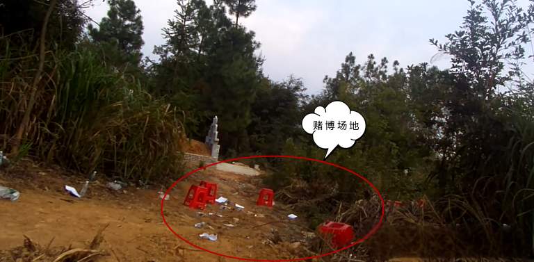 为躲避查处，多名男女在坟场聚众赌博，7人当场被抓