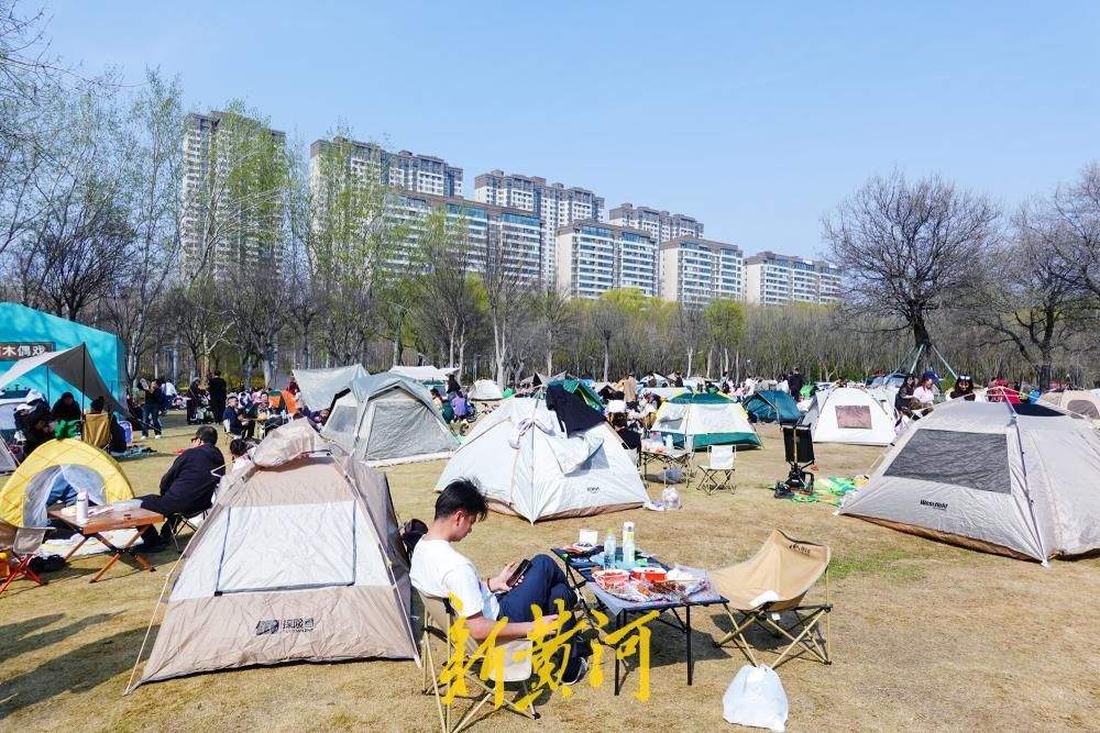 暖阳高照春意满，济南森林公园变身“帐篷乐园”