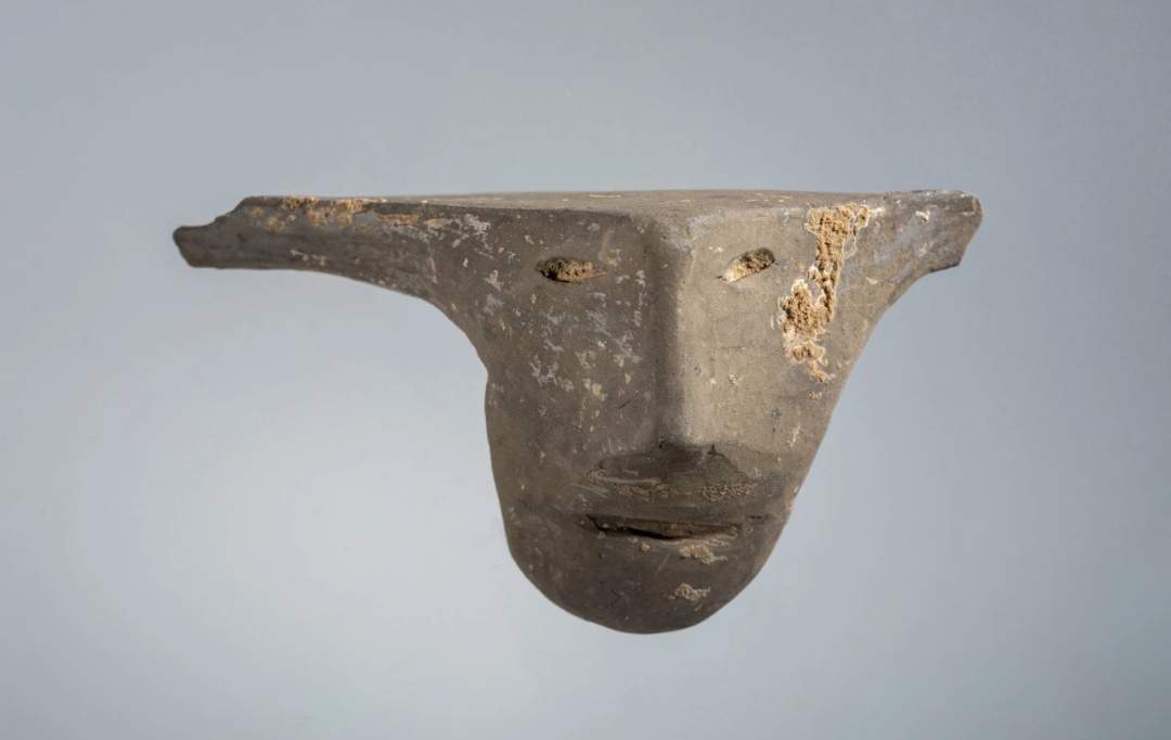 山西沁水八里坪遗址有新发现！