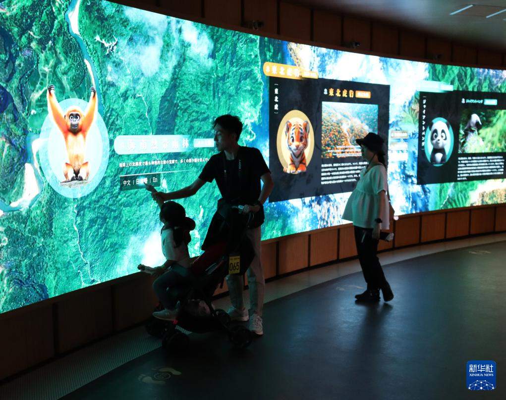 记者手记｜在大阪世博会感受多彩中国