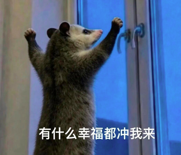 窗前背手的“负鼠”火了!专家:真不是老鼠,亲戚是袋鼠