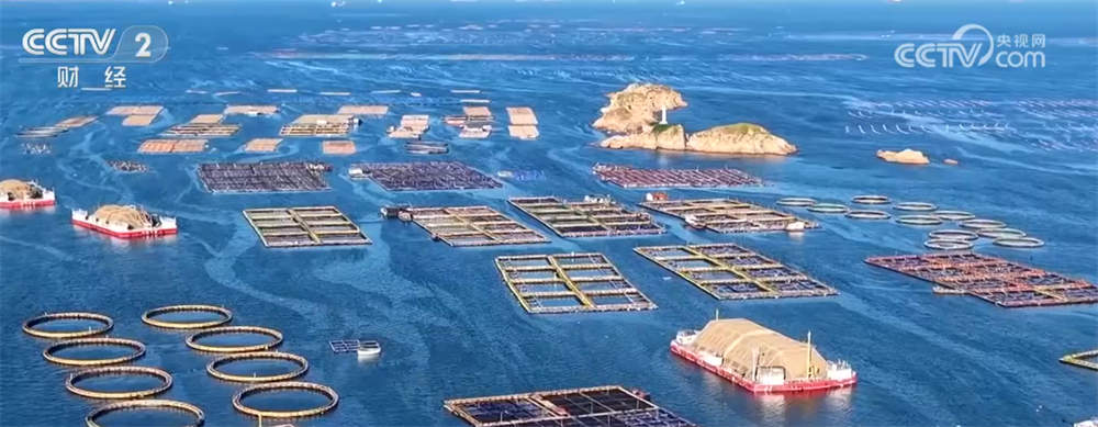 百姓“菜篮子”物丰价稳 节日市场供应充足