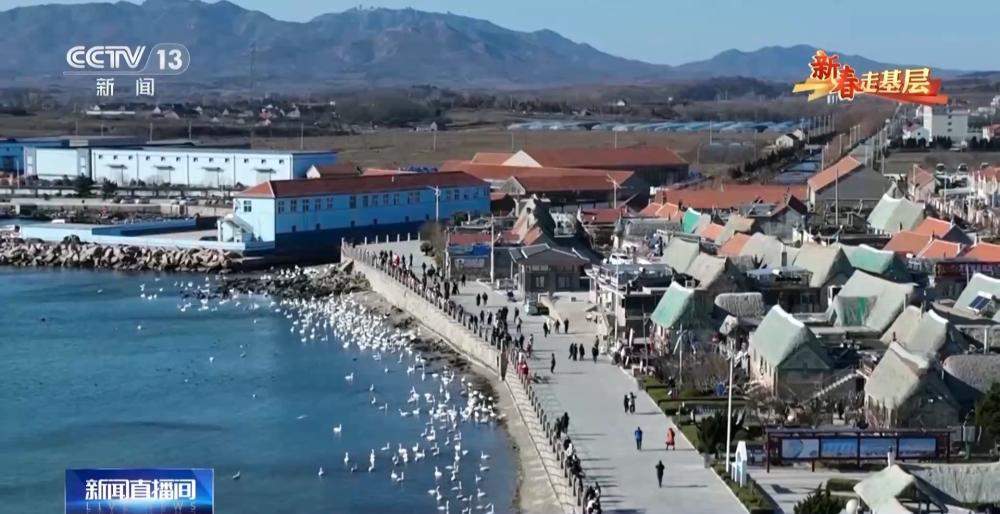 “齐鲁1号”迎来首个春节：穿行山海间的幸福列车