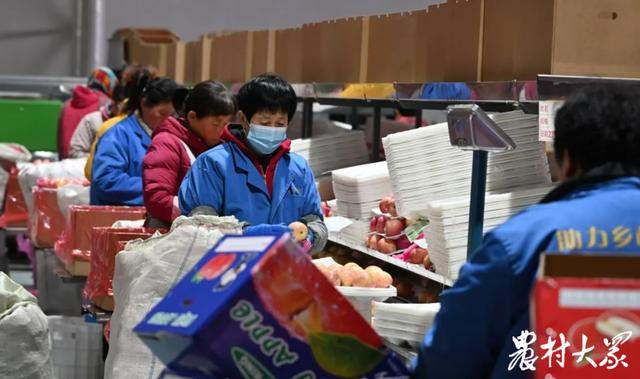 山东果品出口，持续“热辣滚烫”