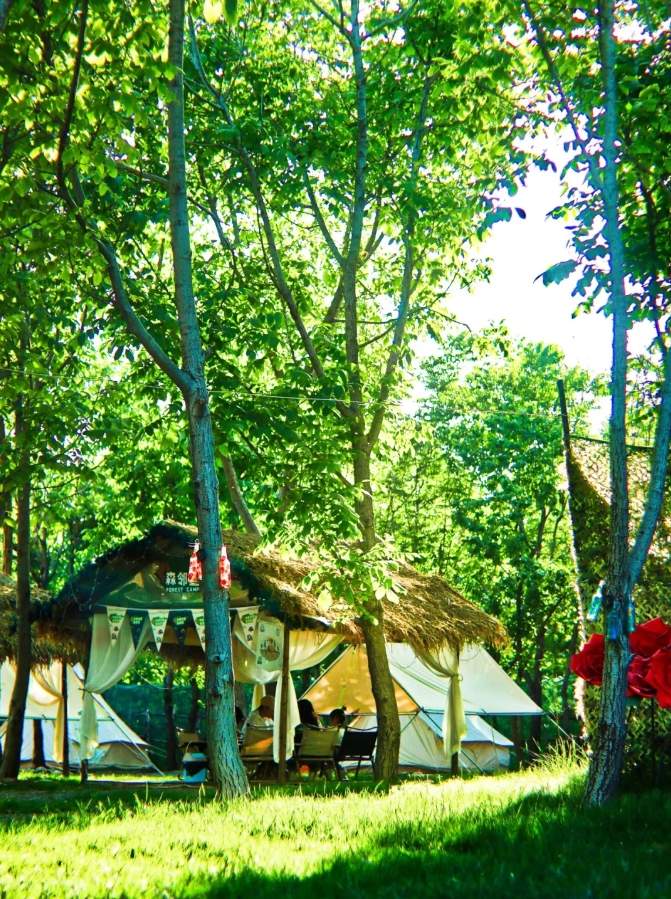 这个五一为什么去济南