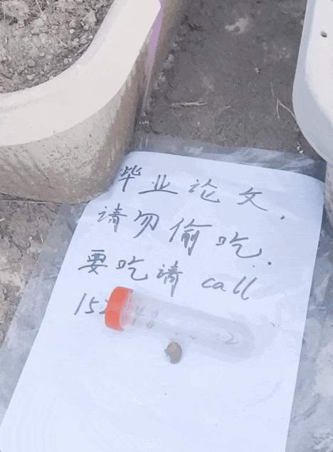 “我的论文被谁偷吃了” 农学生毕业论文惨遭“毒手”