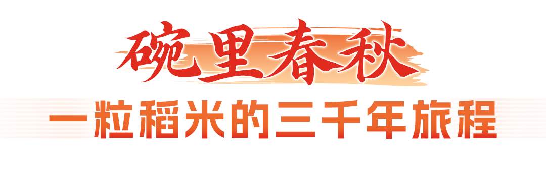 文化中国行|江流文脉,城聚烟火