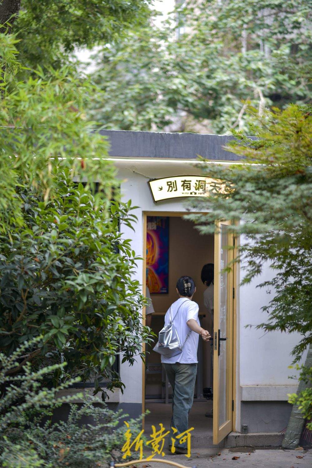 听竹声轻吟，济南百年公园再添新风景