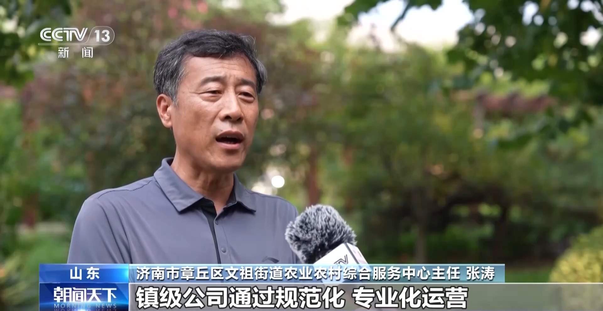 年中经济观察丨片区化推进乡村振兴 从“一时美”迈向“持久兴”