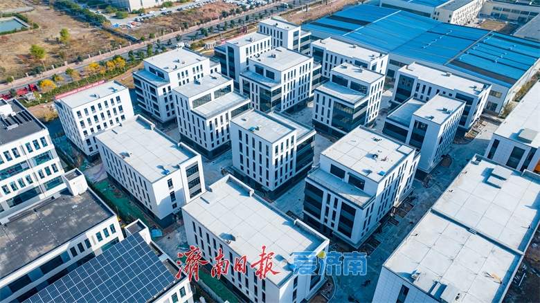 项目为王，泉城蝶变跃迁