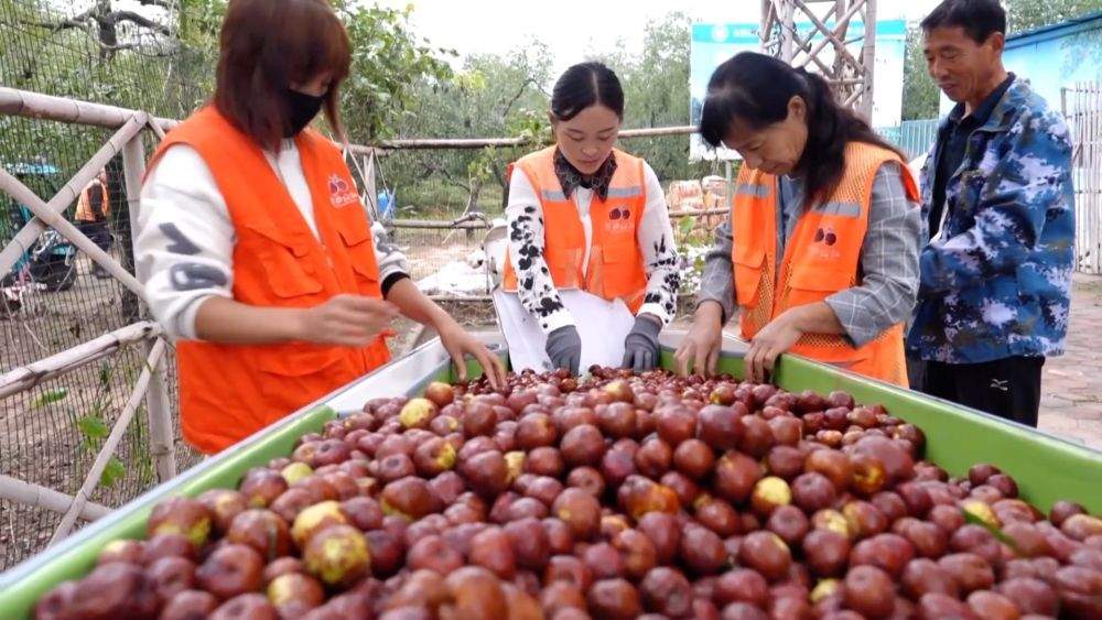 特色农业挖潜力 丰收喜悦满田间