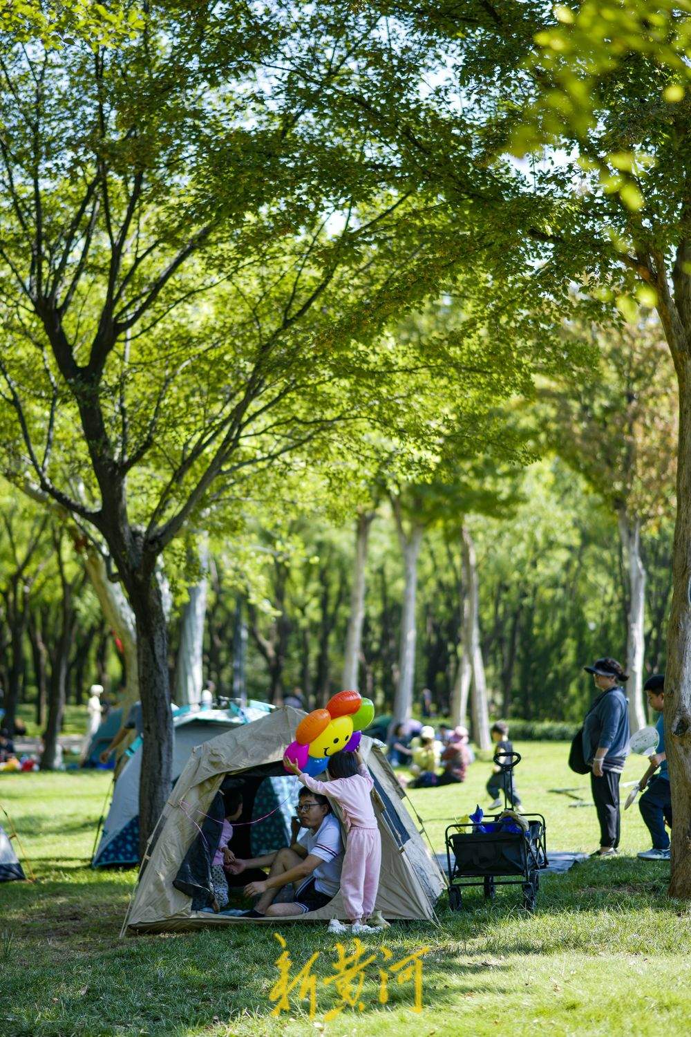 中秋迎来晴好凉爽天，泉城草地重现露营帐篷热