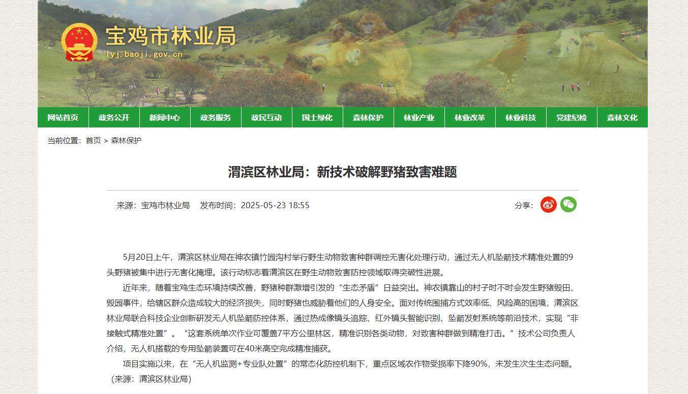 陕西一地用无人机捕杀吊运野猪,林业部门:经过报备,今年计划调控200头