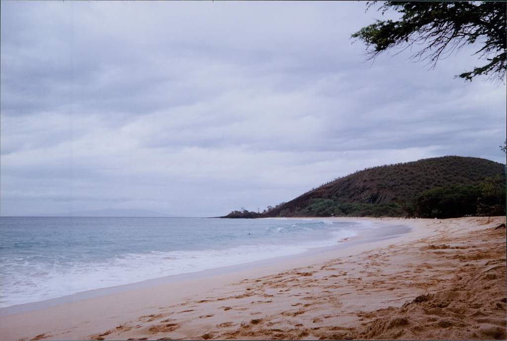 堪察加东岸远海地震修正为8.7级,全球多地发布海啸预警,不会对我国造成灾害性影响