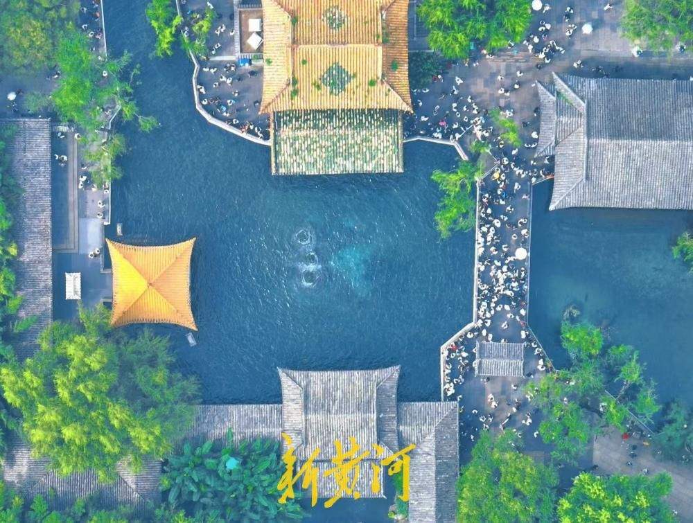 暑期收官遇盛景，趵突腾空醉游人