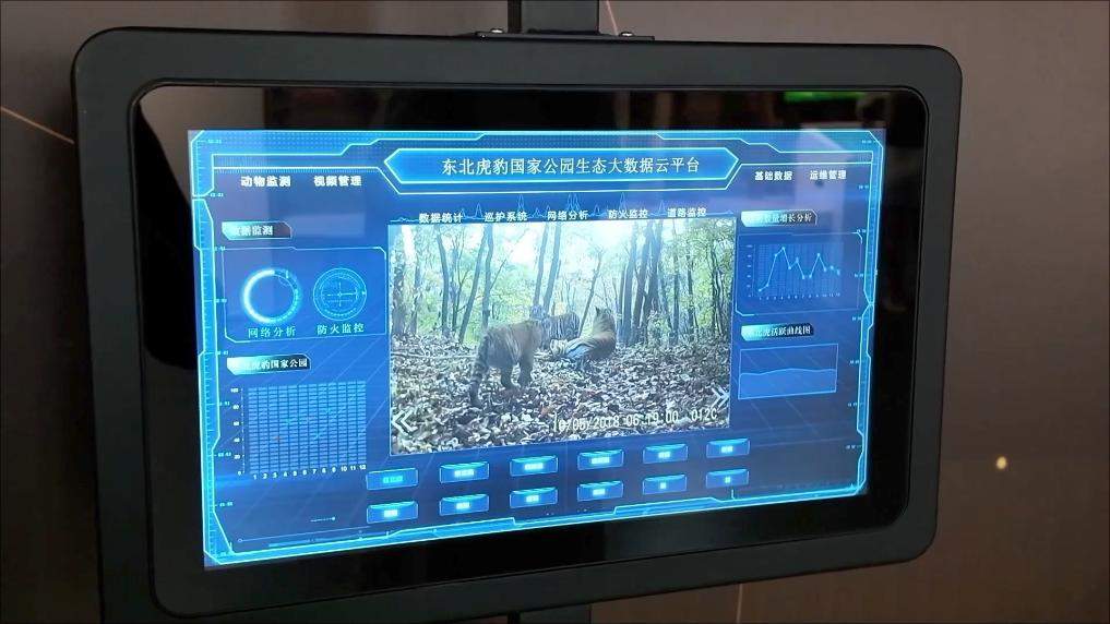 新华视点｜守护绿水青山 多元实践共筑生态环保新图景