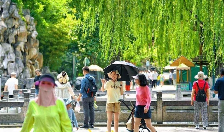 高温天气催热泉水游 济南护城河畔游人如织享清凉