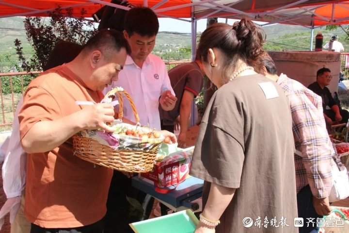 济南南部山区柳埠街道第17届大樱桃采摘文化旅游节正式开幕