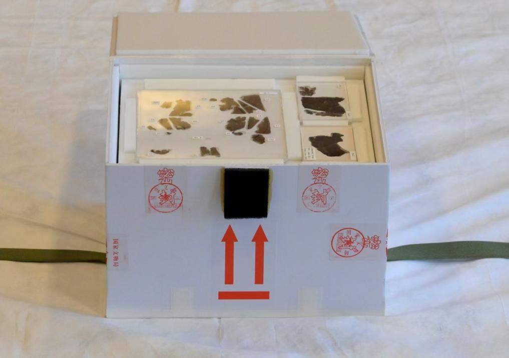 79年漂泊无定 国宝回家！帛书归来