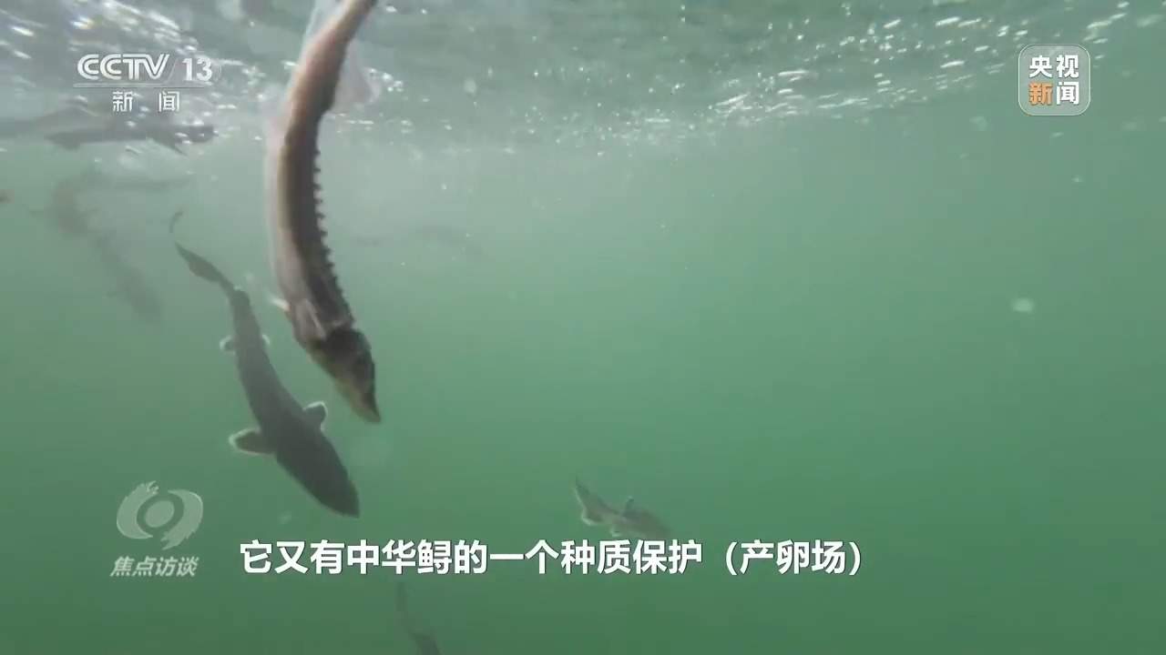 多项重大工程进度条刷新 将这样改变你我生活