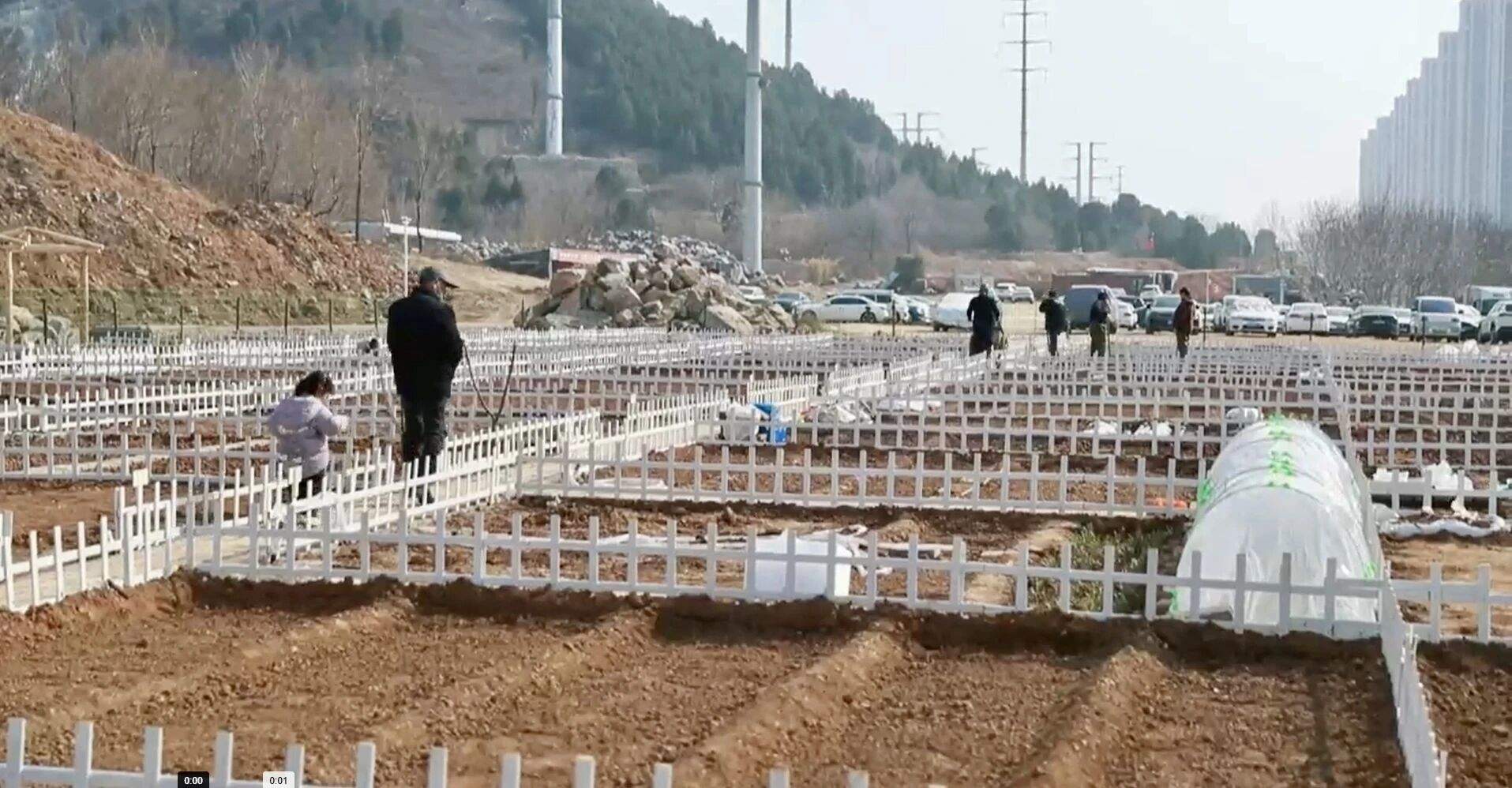 海右新论｜头雁领航 土里生金