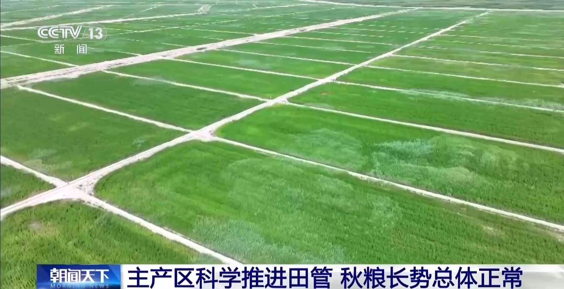 无人机“体检”、水肥一体化 多地有序推进秋粮田管