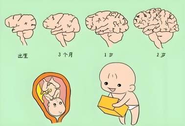 什么奶粉胆碱含量最高？提高大脑发育的奶粉怎么挑？