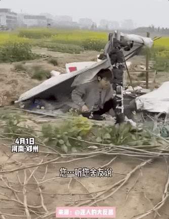 “我的论文被谁偷吃了” 农学生毕业论文惨遭“毒手”