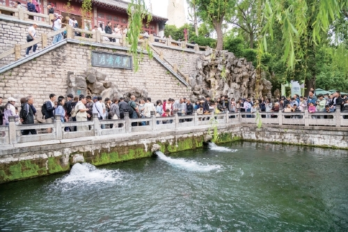 五月济南错峰出游正当时 避开人潮慢享泉城初夏盛景