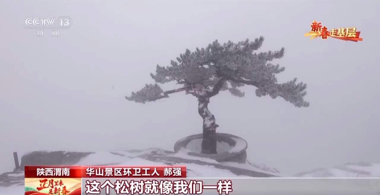 “决战”华山之巅！这群扫雪人崖壁清雪守险关
